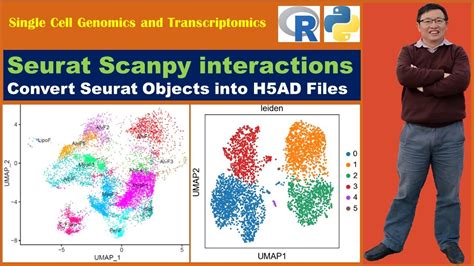 I know that there is functionality to <b>convert</b> a. . Convert seurat object to h5ad